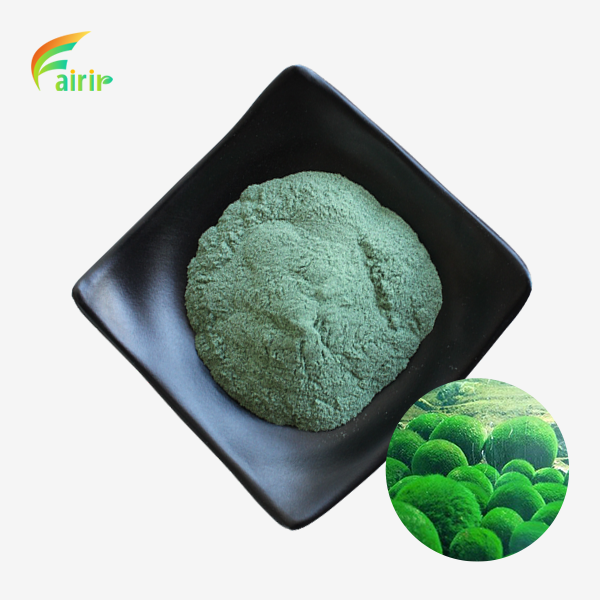 Raw Organic Chlorella Powder